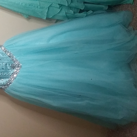 Prom/ homecoming/quinceanera dress - Picture 2 of 6